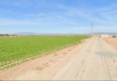 Land with ruins for sale on RM-F12, Torre-Pacheco, ref: TR370383 photo