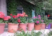 Casa amb terreny en venda a la Carretera de Mairena (junto a laroles), Laroles, ref.: TR370497 foto