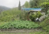 Casa amb terreny en venda a la Carretera de Mairena (junto a laroles), Laroles, ref.: TR370497 foto