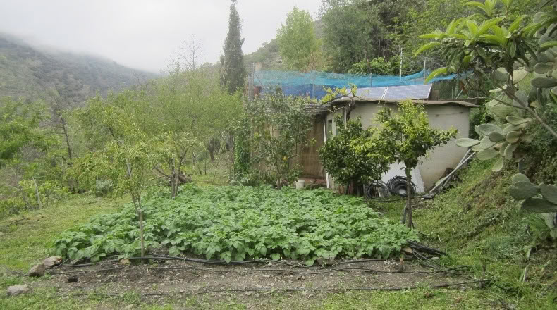 Granada - Laroles - 15000m2