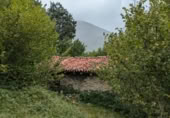Stone house with land for sale on BO LA LAGUNA 455 Polígono 10 Parcela 455 ARROZADA., Polaciones, ref: TR370384 photo