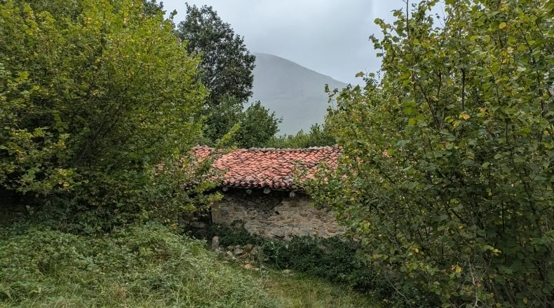 Cantabria - Polaciones - 5597m2
