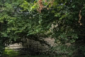 Foto 10