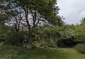 Stone house with land for sale on BO LA LAGUNA 455 Polígono 10 Parcela 455 ARROZADA., Polaciones, ref: TR370384 photo