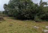 Stone house with land for sale on BO LA LAGUNA 455 Polígono 10 Parcela 455 ARROZADA., Polaciones, ref: TR370384 photo
