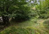 Stone house with land for sale on BO LA LAGUNA 455 Polígono 10 Parcela 455 ARROZADA., Polaciones, ref: TR370384 photo