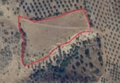 Terreny no urbanitzable en venda a la Polígono 5 Parcela 66 LAS ROZAS, San Bartolomé de las Abiertas, ref.: TR370577 foto