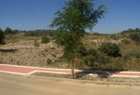 Toledo 2521&nbsp;m² 