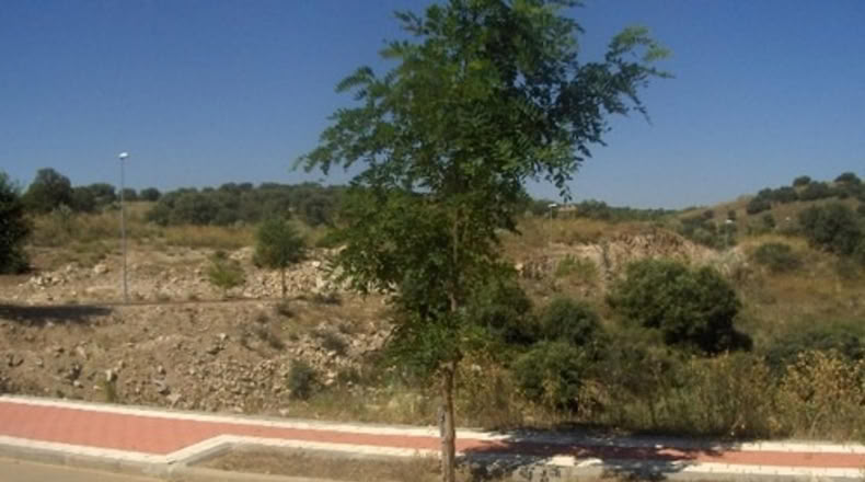 Toledo - Toledo - 2741m2
