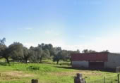 Farm for sale on Travesía, Cáceres, ref: TR372449 photo