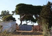 Rural estate for sale on CAMINO HIJUELA DE MARIA S/N, Chipiona, ref: TR370885 photo