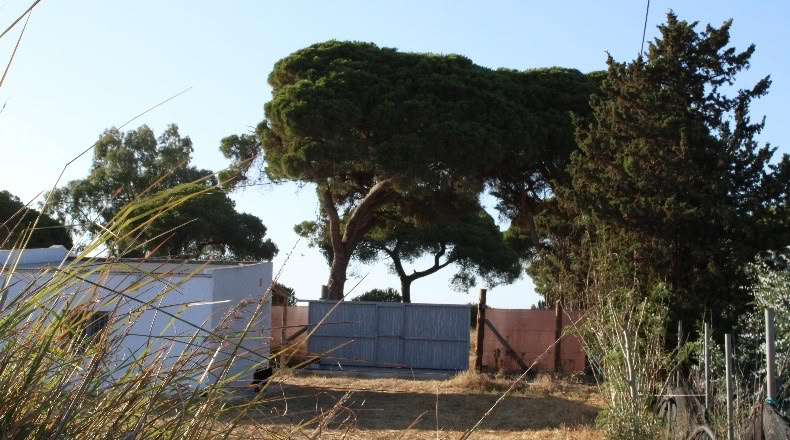 Cádiz - Chipiona - 8100m2