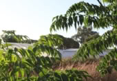 Rural estate for sale on CAMINO HIJUELA DE MARIA S/N, Chipiona, ref: TR370885 photo