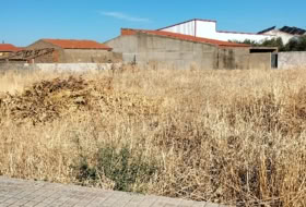 Acedera 800&nbsp;m² 
