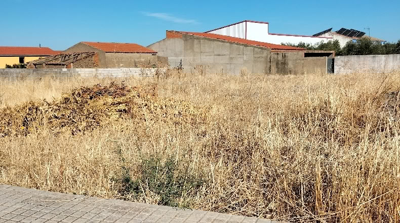 Badajoz - Acedera - 800m2