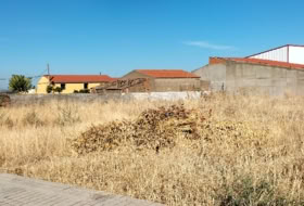 Acedera 800&nbsp;m² 