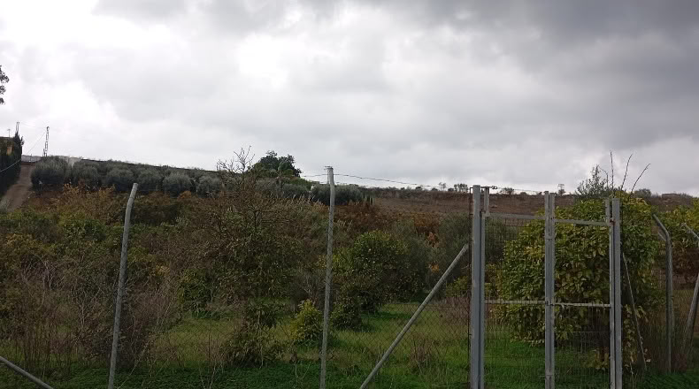 Málaga - Cártama - 3000m2