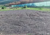 Non-developable land for sale on GC-604, Lomo de Pedro Afonso, ref: TR370993 photo
