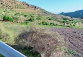 Non-developable land for sale on GC-604, Lomo de Pedro Afonso, ref: TR370993 photo