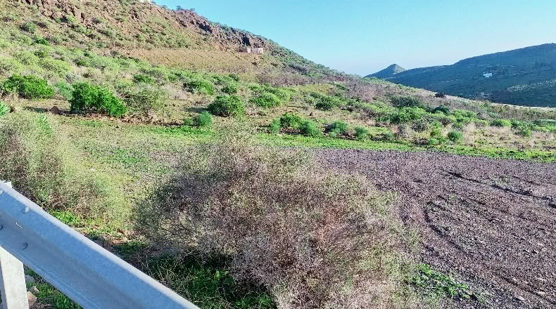Las Palmas - Lomo de Pedro Afonso - 23000m2