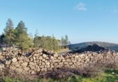 Stone house with land for sale on GC-604, Lomo de Pedro Afonso, ref: TR372448 photo