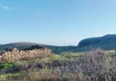 Stone house with land for sale on GC-604, Lomo de Pedro Afonso, ref: TR372448 photo