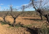 Non-developable land for sale on N-420, el Masroig, ref: TR371420 photo