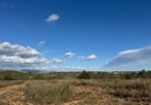 Non-developable land for sale on N-420, el Masroig, ref: TR371420 photo