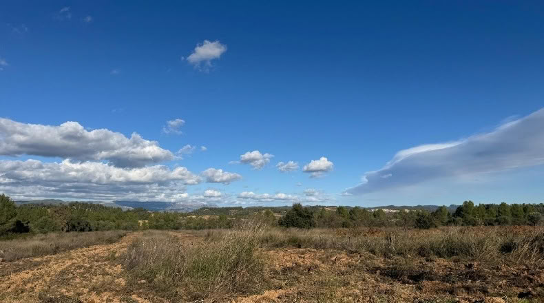 Tarragona - el Masroig - 12500m2