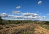 Non-developable land for sale on N-420, el Masroig, ref: TR371420 photo