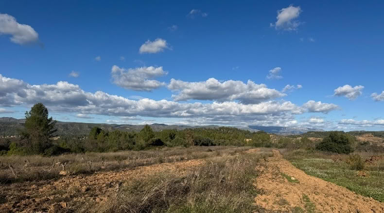 Tarragona - el Masroig - 12500m2