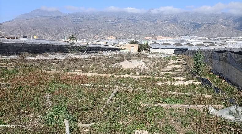 Almería - El Ejido - 2500m2