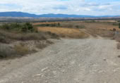 Non-developable land for sale on Venta del patio - Egino errepidea, Zalduendo, ref: TR371590 photo