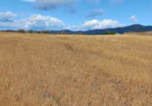 Non-developable land for sale on LR-136, Araya, ref: TR371622 photo