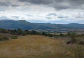Non-developable land for sale on LR-136, Araya, ref: TR371622 photo