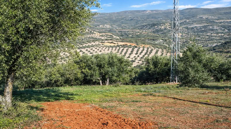 Granada - Órgiva - 22000m2