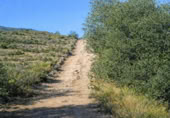 Terreny no urbanitzable en venda a la Carretera de Lanjarón a Almería por Ugíjar, Órgiva, ref.: TR372410 foto