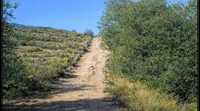 Granada - Órgiva - 22000m2