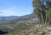 Terreny no urbanitzable en venda a la Carretera de Lanjarón a Almería por Ugíjar, Órgiva, ref.: TR372410 foto