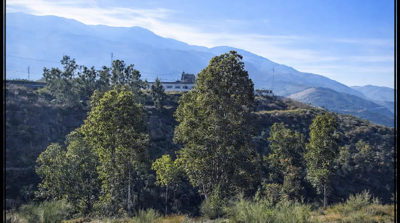 Granada - Órgiva - 22000m2