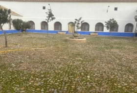 Foto 15