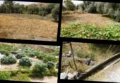 Terreny no urbanitzable en venda a la Carretera de Lanjarón a Almería por Ugíjar, Órgiva, ref.: TR372438 foto