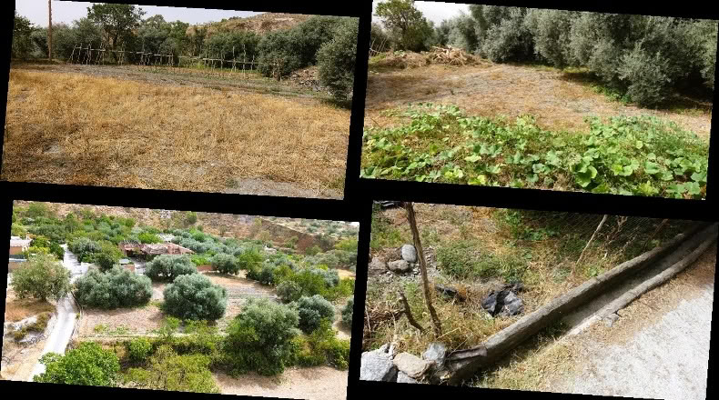 Granada - Órgiva - 3442m2