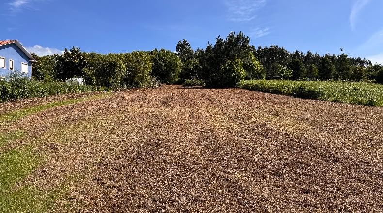 La Coruña - Narón - 3000m2