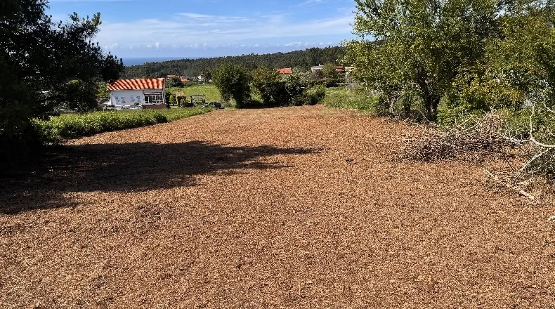 La Coruña - Narón - 3000m2