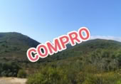 Земля на продажу у города San Pablo de los Montes Фото