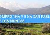 Земля на продажу у города San Pablo de los Montes Фото