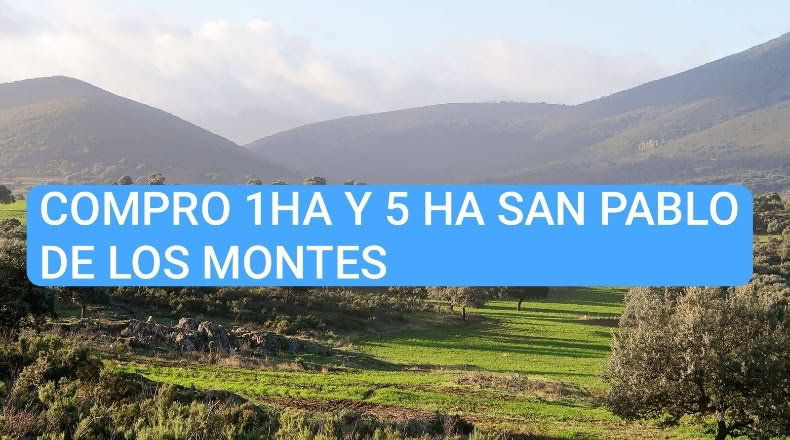 Toledo - San Pablo de los Montes - 50000m2