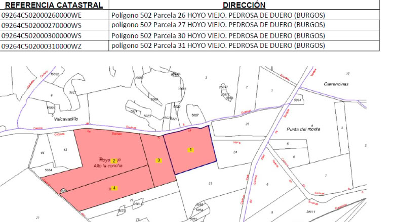 Burgos - Guzmán - 159633m2