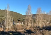 House with land for sale on N-121, Pueyo, ref: TR256256 photo